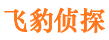 正安婚外情调查取证